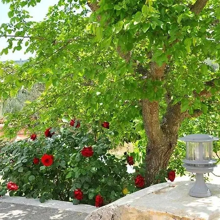 Tenuta Bianca With Amazing Exclusive Pool *